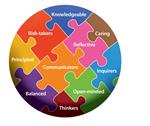 Learning Profile Puzzle